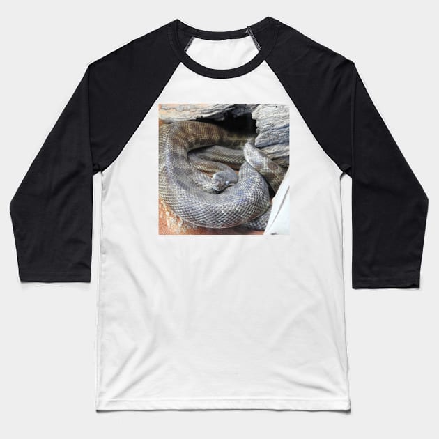 Stimson's Python Baseball T-Shirt by kirstybush